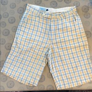 Hollister Mens Vintage Plaid Shorts Size 30